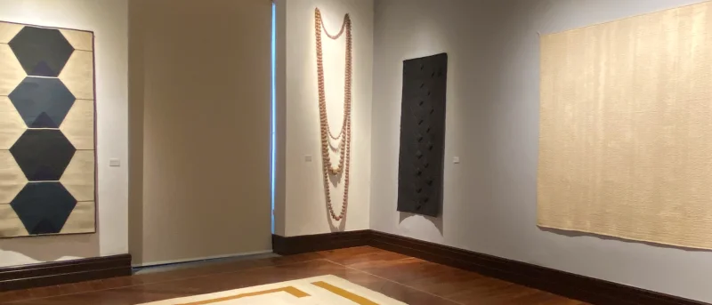 Exposición temporal