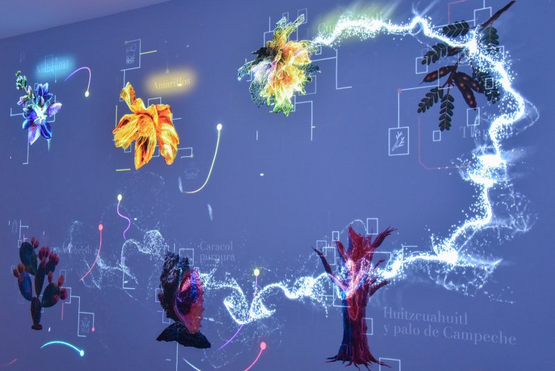 Sala interactiva